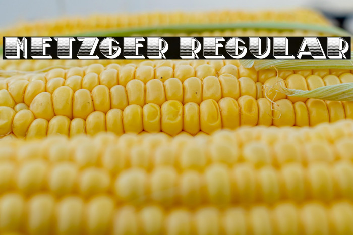 Metzger Regular Example 1