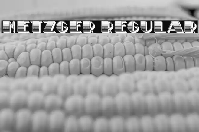 Metzger Regular Example 1