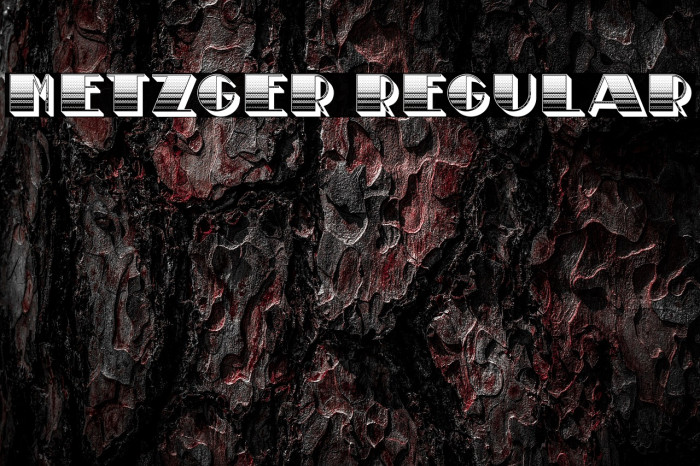 Metzger Regular Example 2