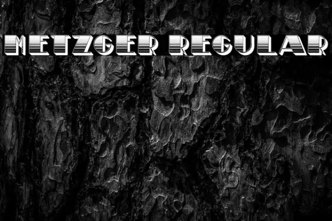 Metzger Regular Example 2