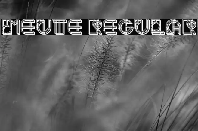 Meute Regular Example 2