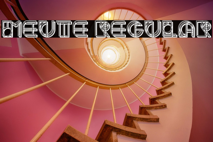 Meute Regular Example 3