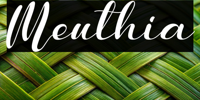 Meuthia Example 2