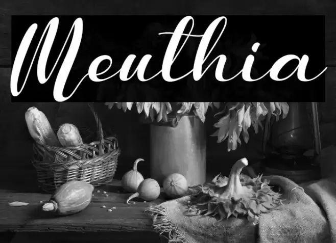 Meuthia Font examples