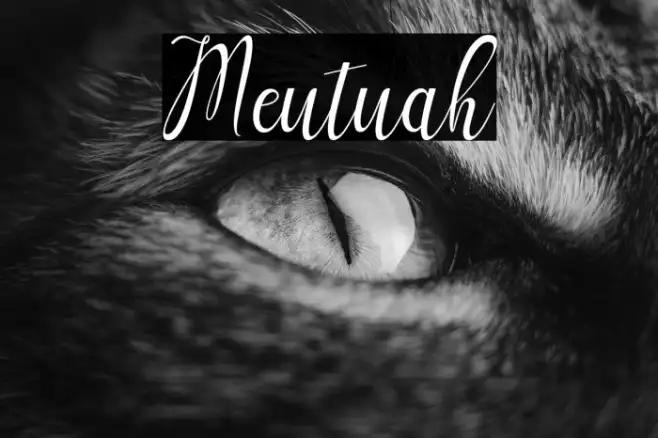 Meutuah Example 3