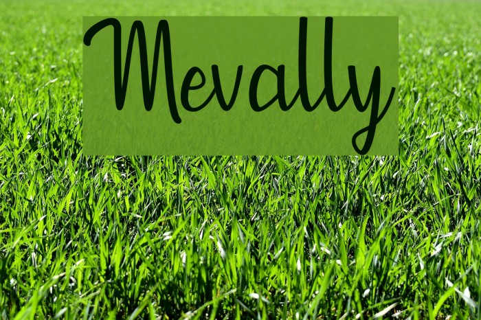 Mevally Font examples
