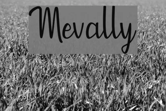 Mevally Example 1
