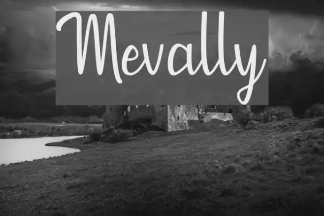 Mevally Example 3