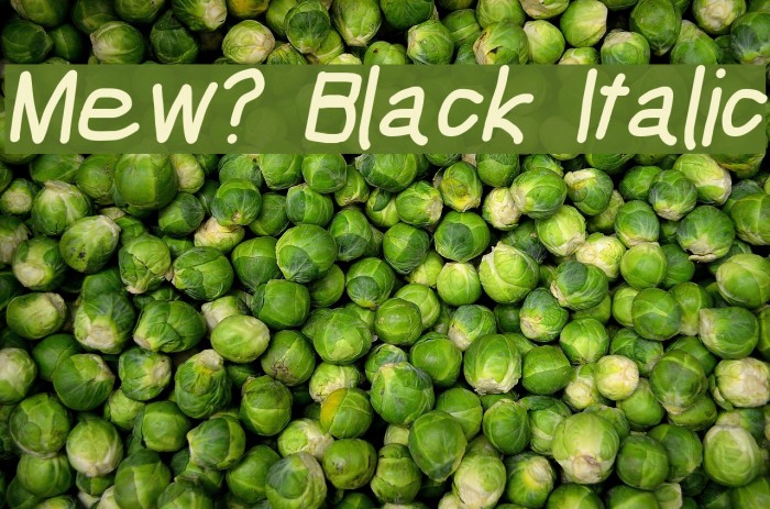 Mew? Black Italic Font examples