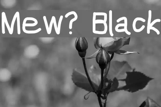 Mew? Black Font examples