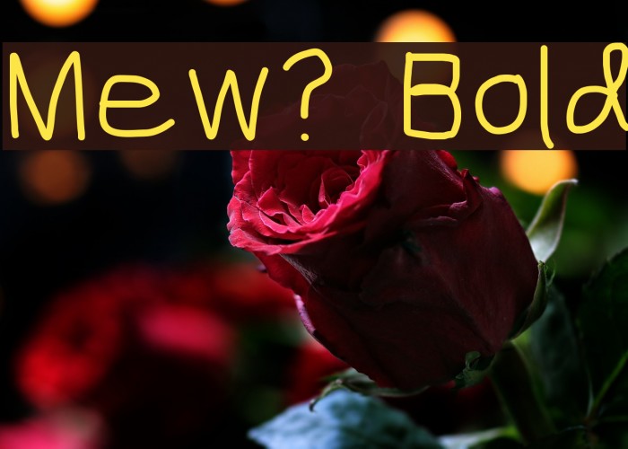 Mew? Bold Font examples