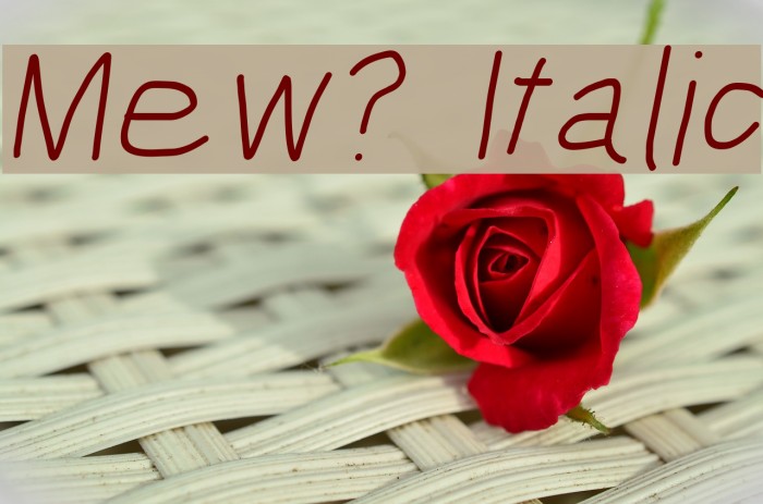 Mew? Italic Font examples