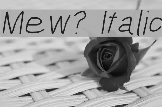 Mew? Italic Example 2
