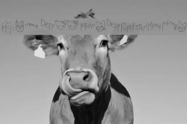 Mew Too CatDings Font examples