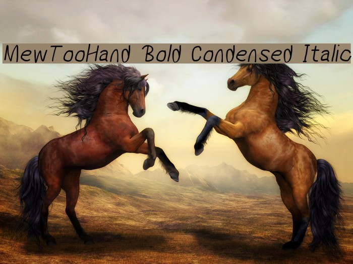 MewTooHand Bold Condensed Italic Font examples