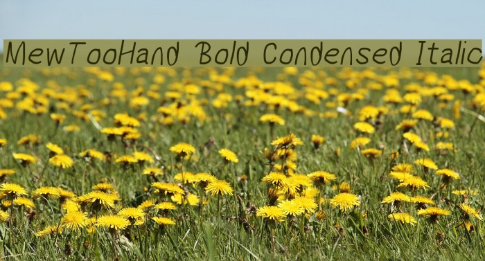 MewTooHand Bold Condensed Italic Font examples