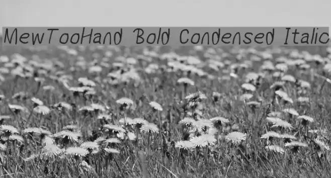 MewTooHand Bold Condensed Italic Schriftart examples