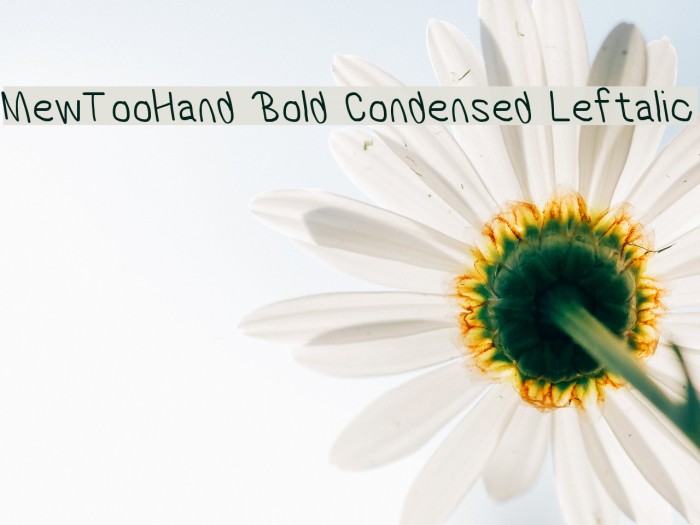 MewTooHand Bold Condensed Leftalic Font examples
