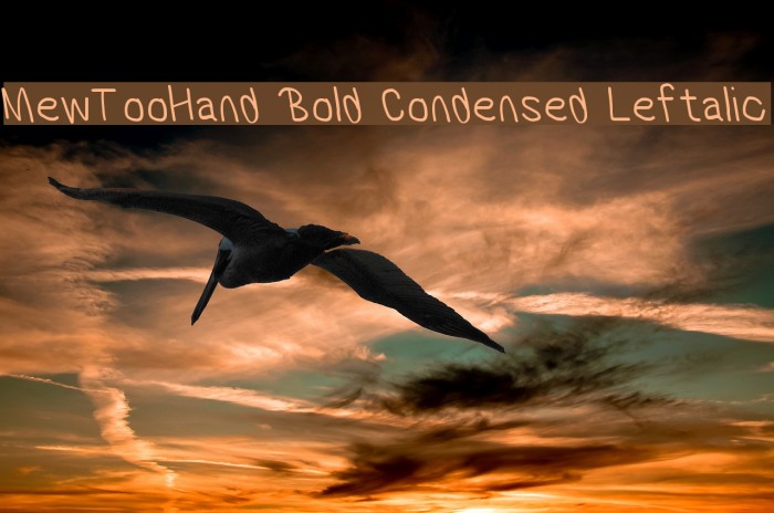 MewTooHand Bold Condensed Leftalic Font examples