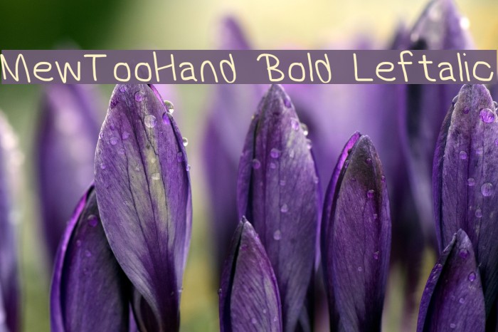 MewTooHand Bold Leftalic Font examples