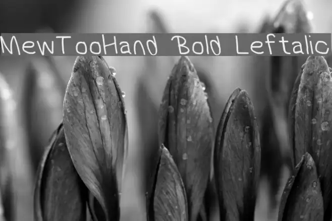 MewTooHand Bold Leftalic Example 1