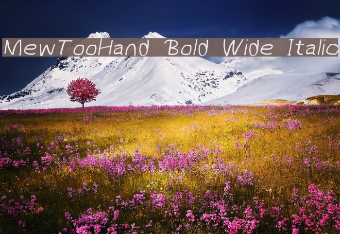 MewTooHand Bold Wide Italic Font examples