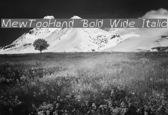 MewTooHand Bold Wide Italic Schriftart examples