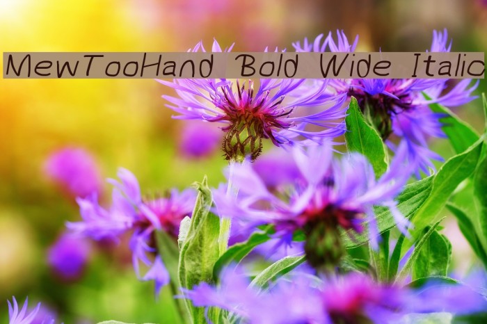 MewTooHand Bold Wide Italic Font examples