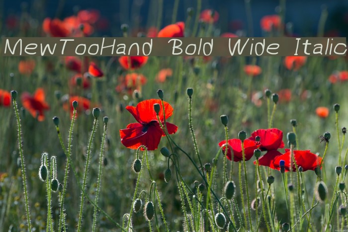 MewTooHand Bold Wide Italic Font examples