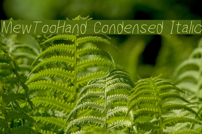 MewTooHand Condensed Italic Font examples