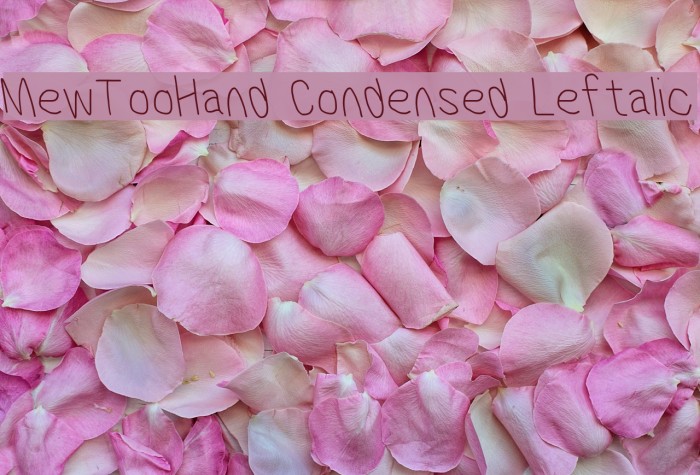MewTooHand Condensed Leftalic Font examples
