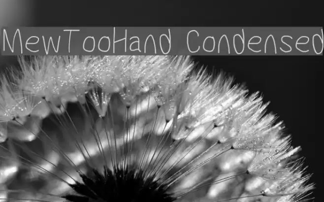 MewTooHand Condensed Font examples