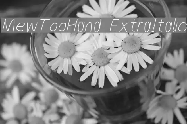 MewTooHand ExtraItalic Caratteri examples