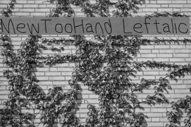 MewTooHand Leftalic Example 2