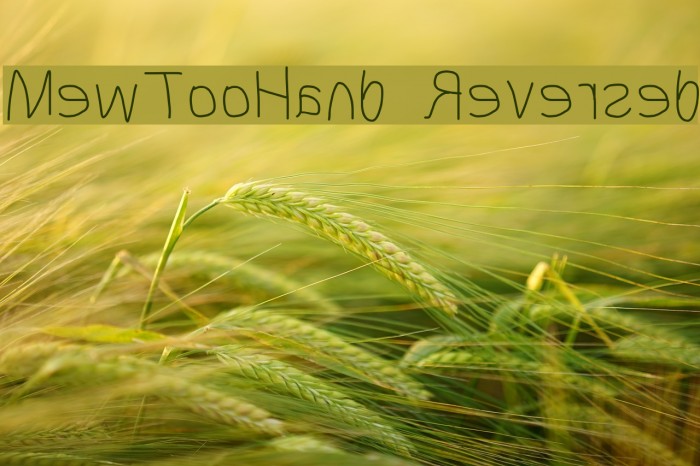 MewTooHand Reversed Example 3