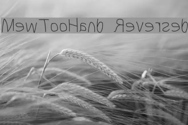 MewTooHand Reversed Font examples