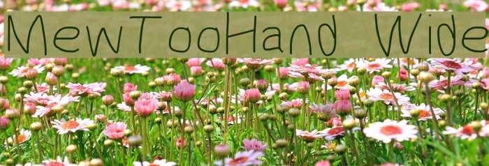 MewTooHand Wide Font examples