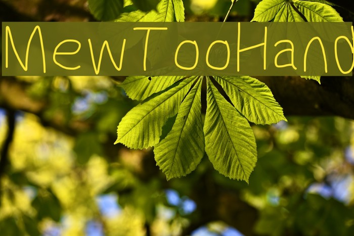 MewTooHand Font examples