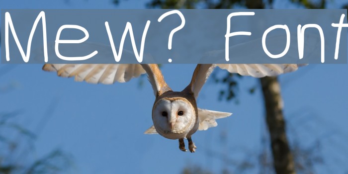 Mew? Font examples
