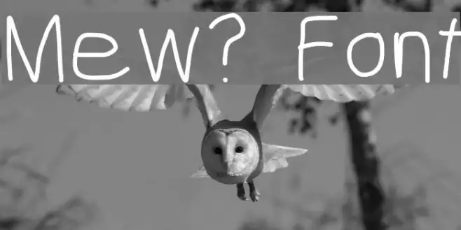 Mew? Example 1