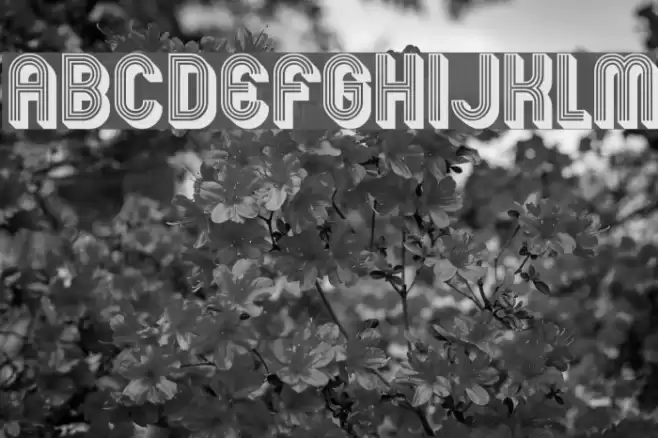 Mexcellent 3D Schriftart examples