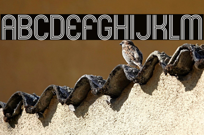 Mexcellent-Regular Example 1