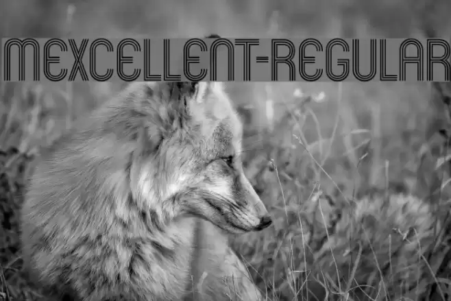 Mexcellent-Regular Font examples