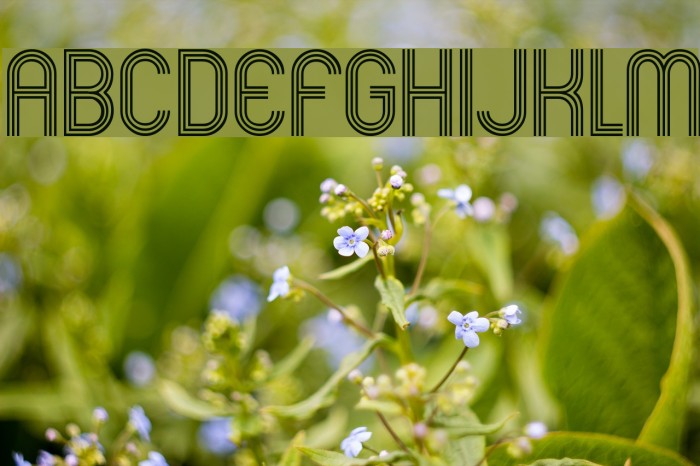 Mexcellent Font examples
