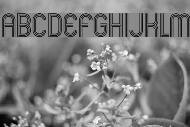 Mexcellent Caratteri examples