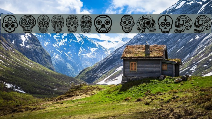 Mexican Skull Example 2