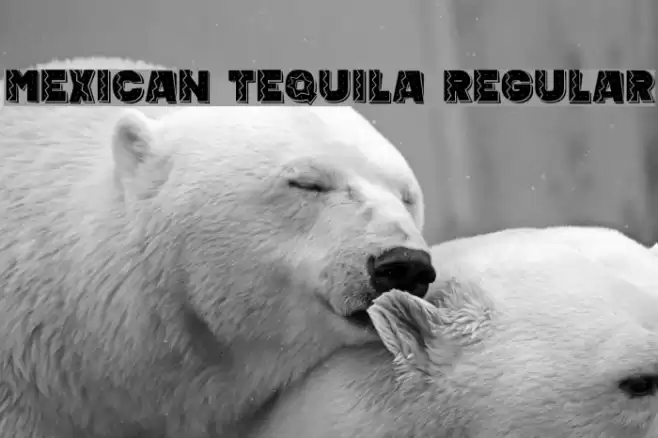 Mexican Tequila Regular Font examples