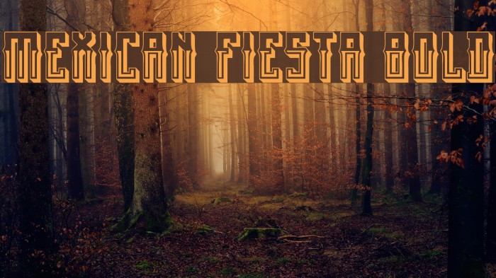 Mexican fiesta Bold Font examples