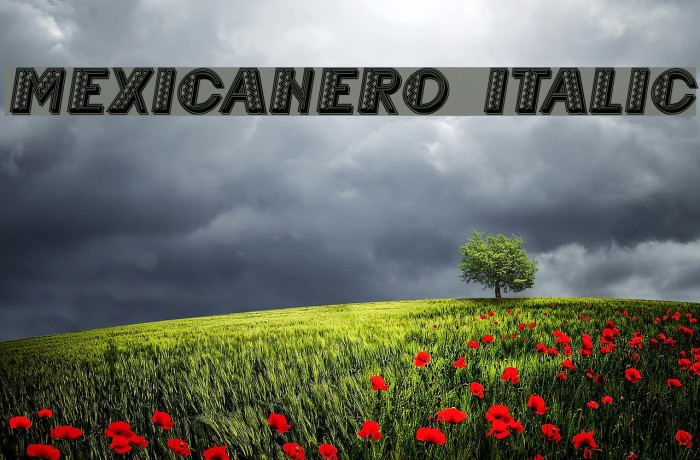 Mexicanero Italic Font examples