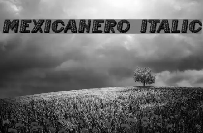 Mexicanero Italic Example 2
